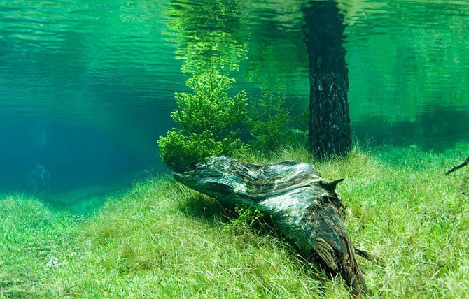 Зелёное Озеро