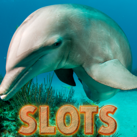 21-wild-dolphins-slots-free-slot-game-drinking-wheel-frat-slots-big-winnings-1-l-280x280